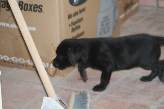 First outing - 6